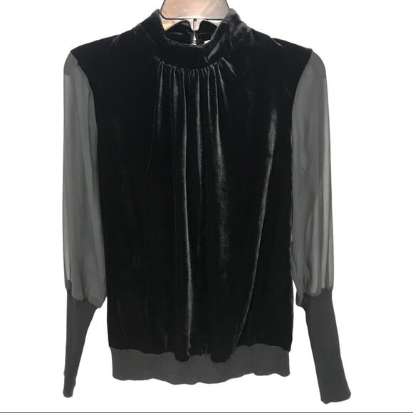 Etcetera Silk Velvet Blouse Sheer Sleeves - Picture 1 of 12